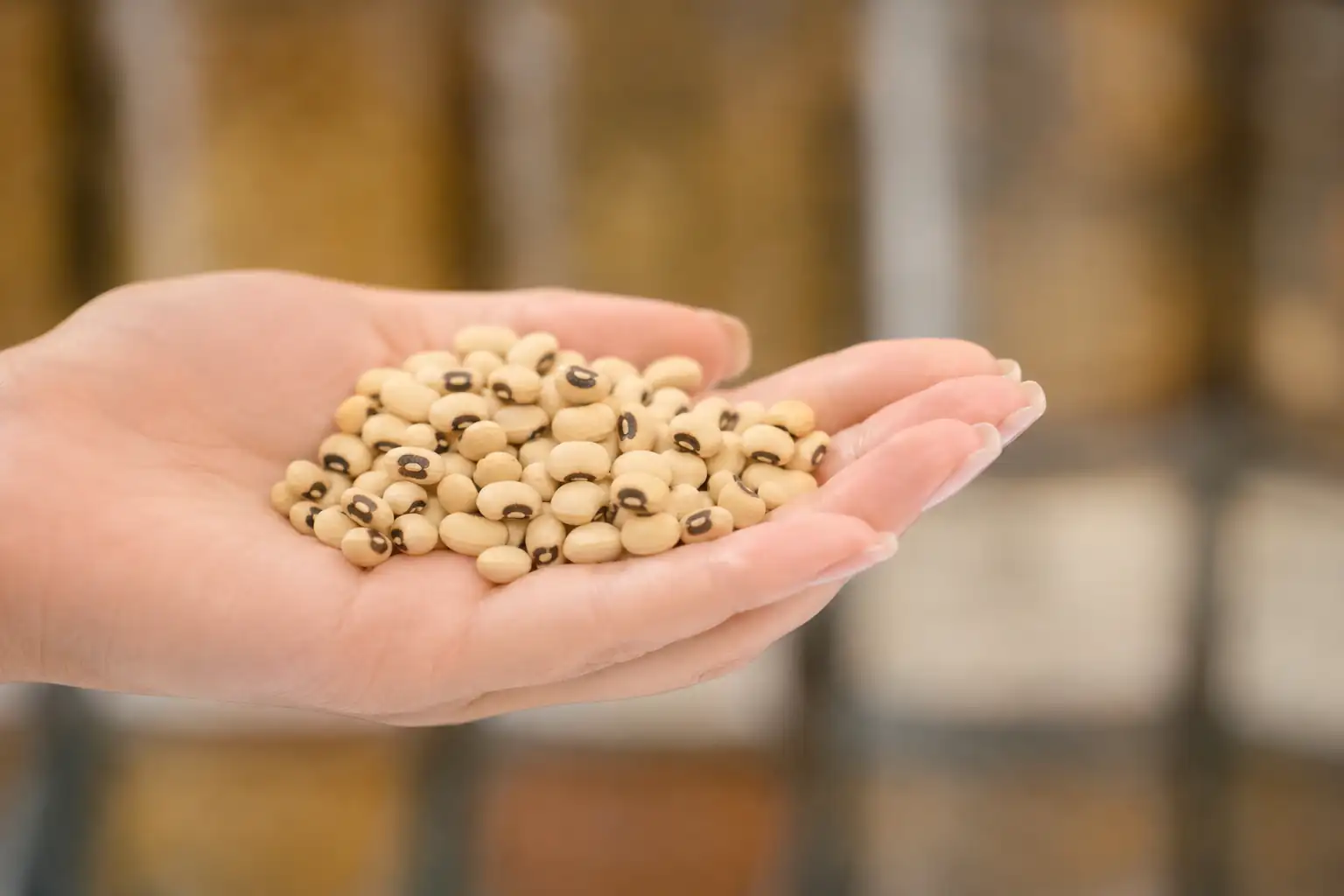 Frijol Vigna: la próxima elección inteligente como fuente de proteína